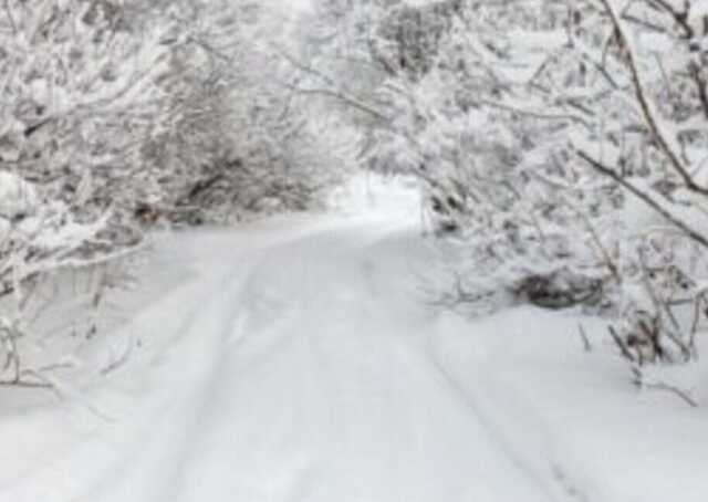 Українські Карпати засипає снігом: туристів закликали утриматися від виходу у високогір’я