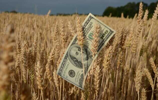 Обкрадають двічі: Де лишаються сотні мільйонів доларів за українське зерно