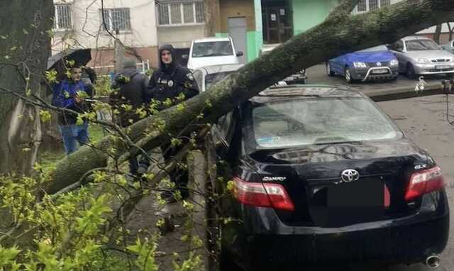 У Києві вітер звалив дерево та бетонну електроопору на припарковані машини