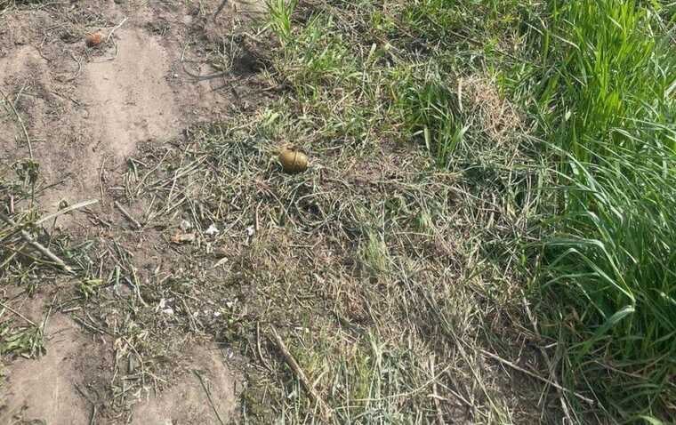Косили траву і натрапили на гранату: у Гостомелі виявили боєприпас періоду окупації