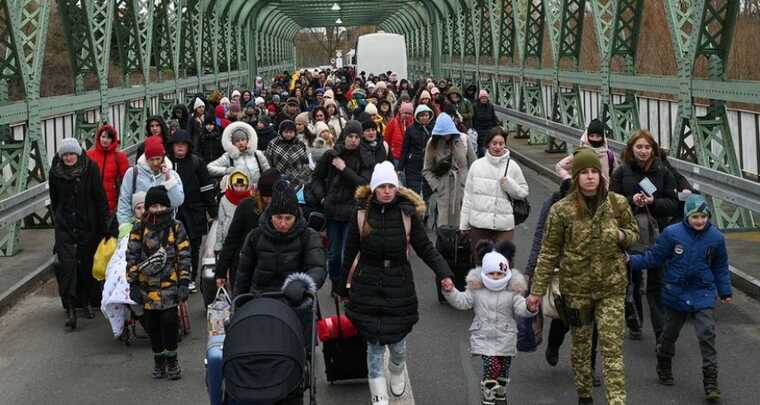 Половина українських біженців хоче залишитись у Данії навіть після закінчення бойових дій