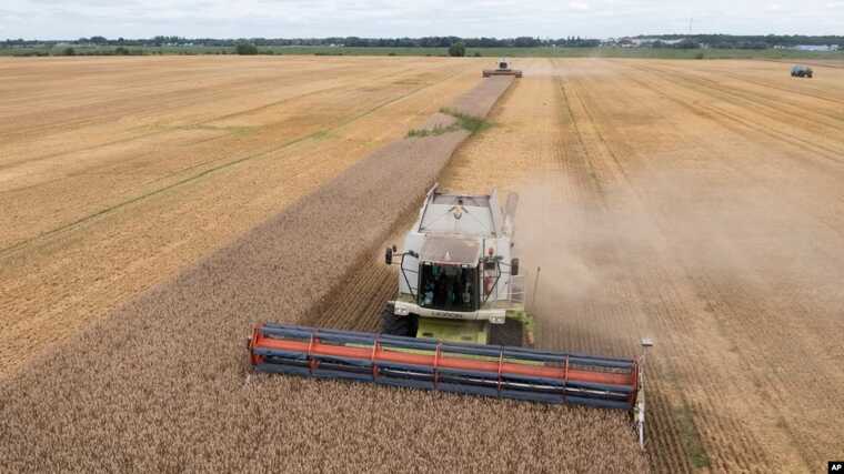 Польща збереже повну заборону на ввезення українського зерна