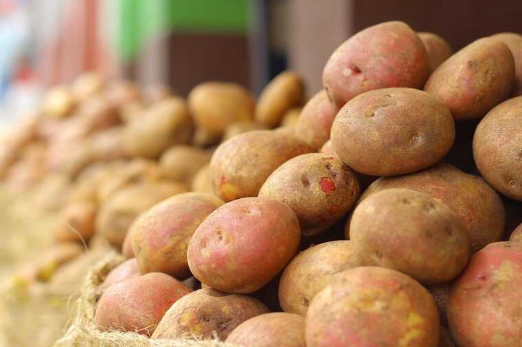 В Україні стрімко здорожчала картопля