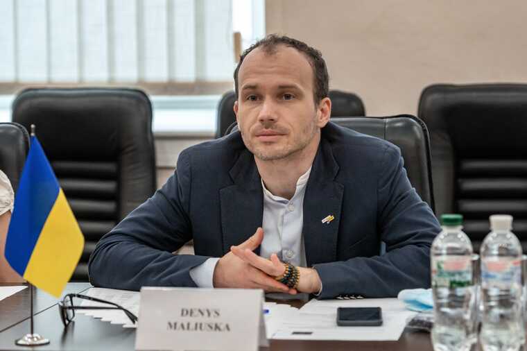 Міністр юстиції України просить Австрію видати підозрюваних для утримання їх під вартою на території країни