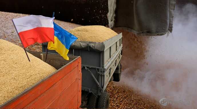 На кордоні з Україною – висипають зерно, а з Білоруссю – вільний трафік. Як Польща купує російську агропродукцію