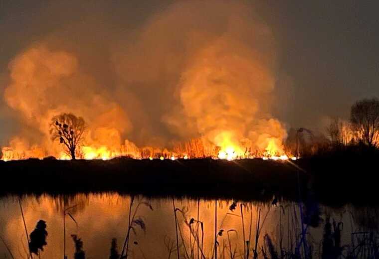 Пожежа в екопарку “Осокорки”: є підозра, що підпалив забудовник Stolitsa Group