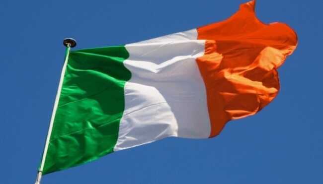 Ірландці на референдумі відхилили поправки до Конституції про сім’ю