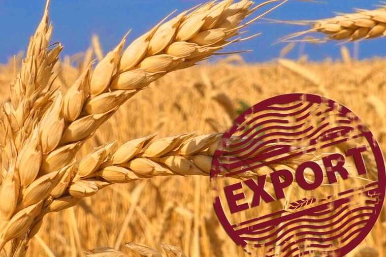 Чиновників БЕБ та ДПС запідозрили в «кришуванні» схеми експорту сільськогосподарської продукції з України