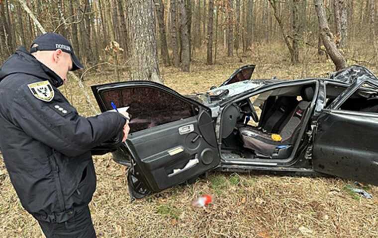 На Чернігівщині унаслідок падіння дерева на автомобіль загинуло двоє людей