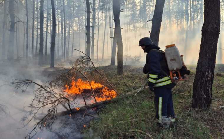 У Харківській області масовані ворожі обстріли спричинили дві лісові пожежі