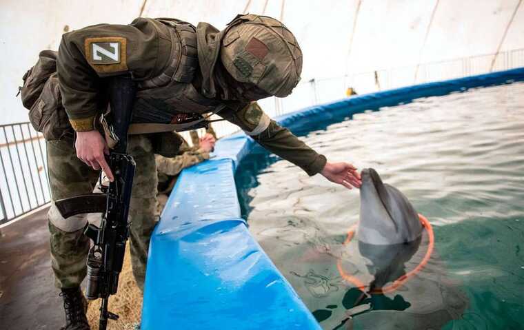 Російські війська застосовують бойових дельфінів для знищення українських водолазів-шпигунів, — ЗМІ