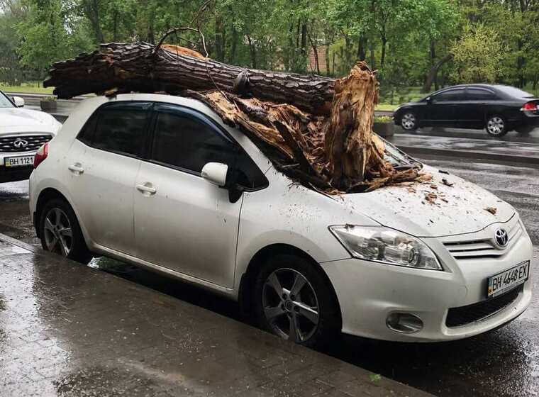 В Одесі буревій викорчовував дерева та трощив авто