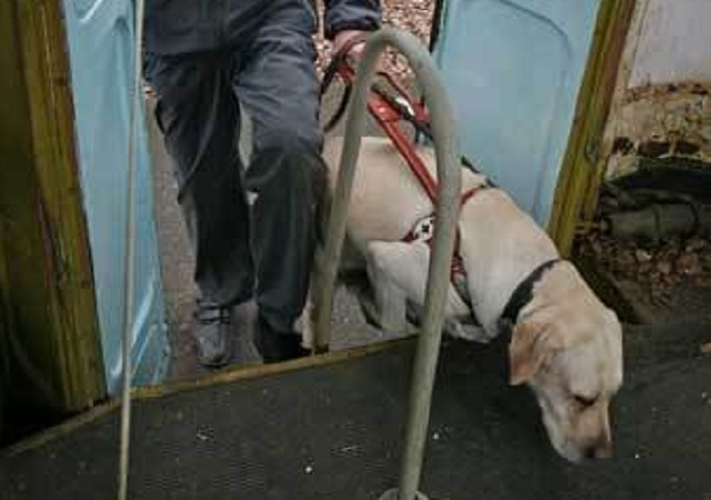 В Киеве на Бортничах отравили собаку-поводыря, инвалид лишился единственного друга