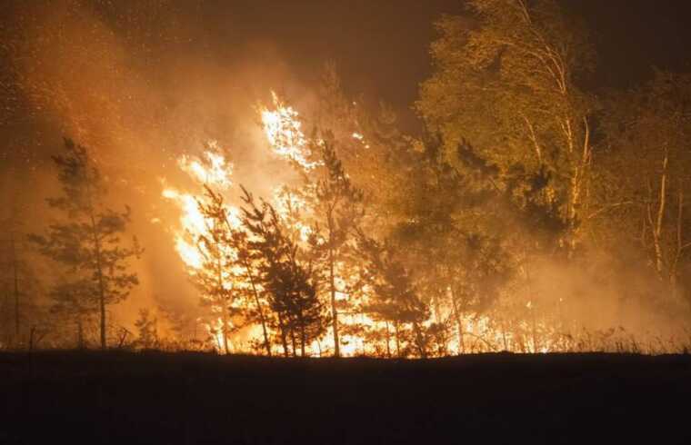 Four regions of Ukraine have been engulfed by large-scale fires