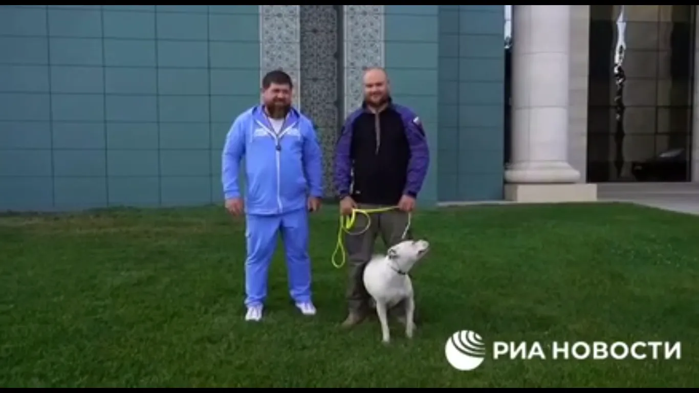 Кадырову подарили. Собаки Рамзана Кадырова. Кадыров с собакой. Рамзан Кадыров и его собаки.